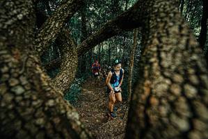 BIB: 
                            <button type="button" onclick="openModal(25668121)" class="btn btn-primary btn-sm float-right btn-popup" data-toggle="modal" data-target=".modal-high-quality">
                        <i class="fas fa-shopping-cart"></i> Add to Cart
                    </button>
                                            <button type="button" onclick="isThisMe(25668121, true)" class="btn btn-success btn-sm float-right btn-popup btn-isme hidden" data-toggle="tooltip" data-placement="bottom" title="นี่คือรูปของคุณใช่ไหม คลิกที่นี่เพื่อเอาเข้าอัลบั้ม">
                        <i class="fas fa-plus"></i> Add to album
                    </button>
                    <button type="button" onclick="isThisMe(25668121, false)" class="btn btn-warning btn-sm float-right btn-popup btn-isnotme hidden">
                        <i class="fas fa-ban"></i> Remove from album
                    </button>